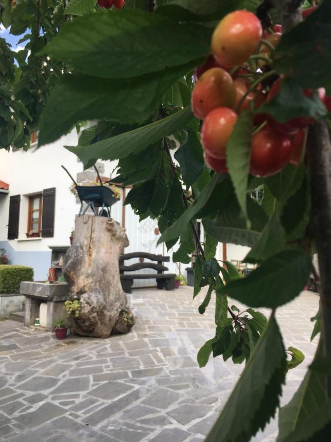 Ekialde Rural Affittacamere Arantza Esterno foto